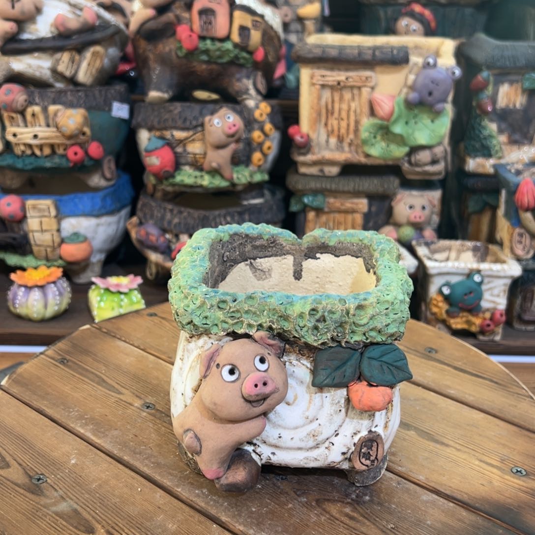 红陶嘻哈多肉花盆