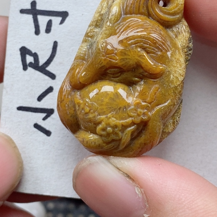 颈饰未镶嵌硅化珊瑚（珊瑚玉）