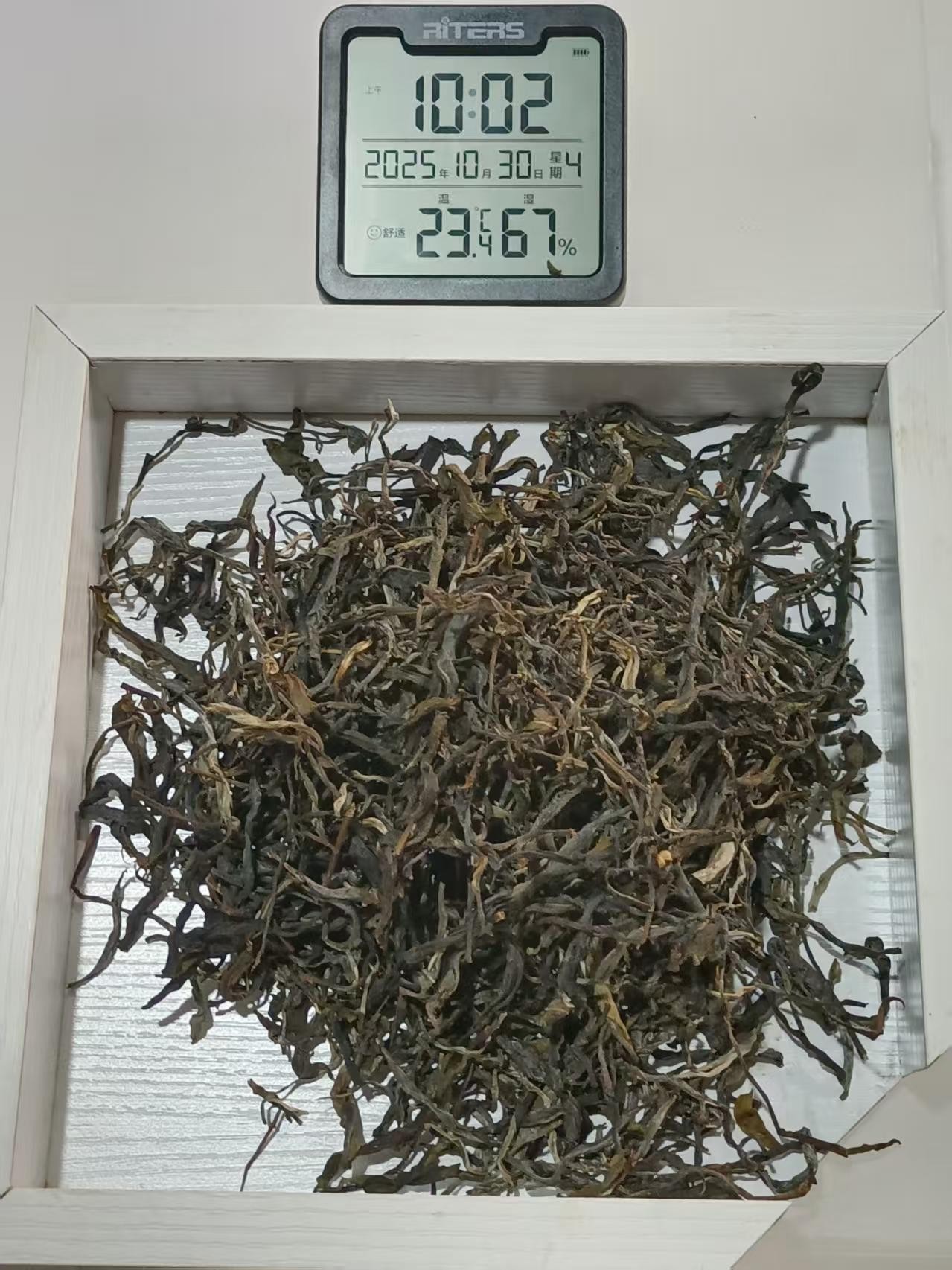 小茶人严选-121号 2025年 白马山 100g/袋生茶散料