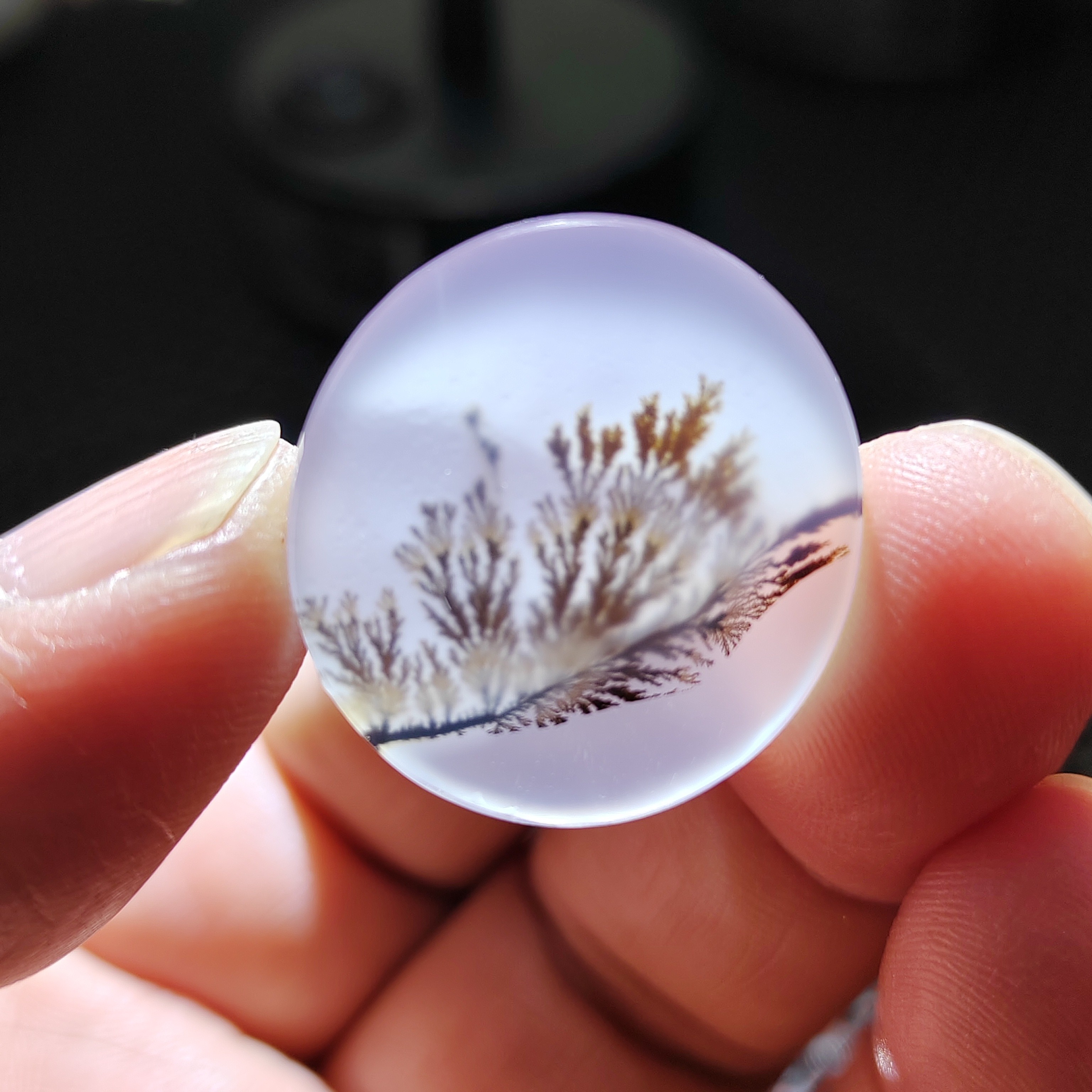 海玉草花 尺寸26*25*5