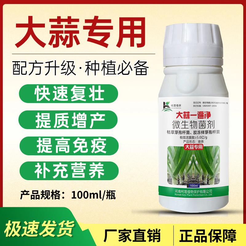 大蒜一遍净大蒜提高免疫力增强抗性快速复壮增收增产