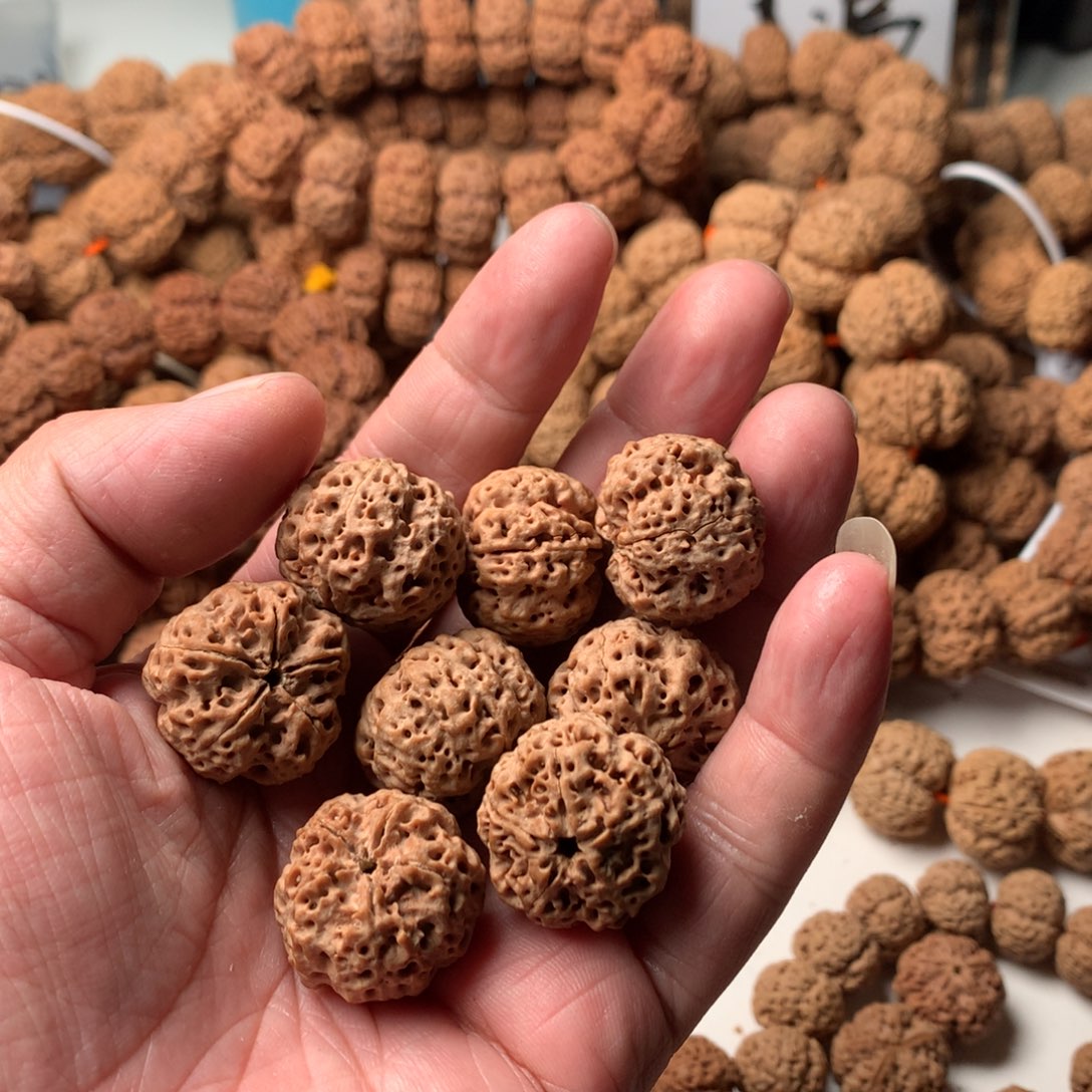 金刚菩提手串追**i24超头