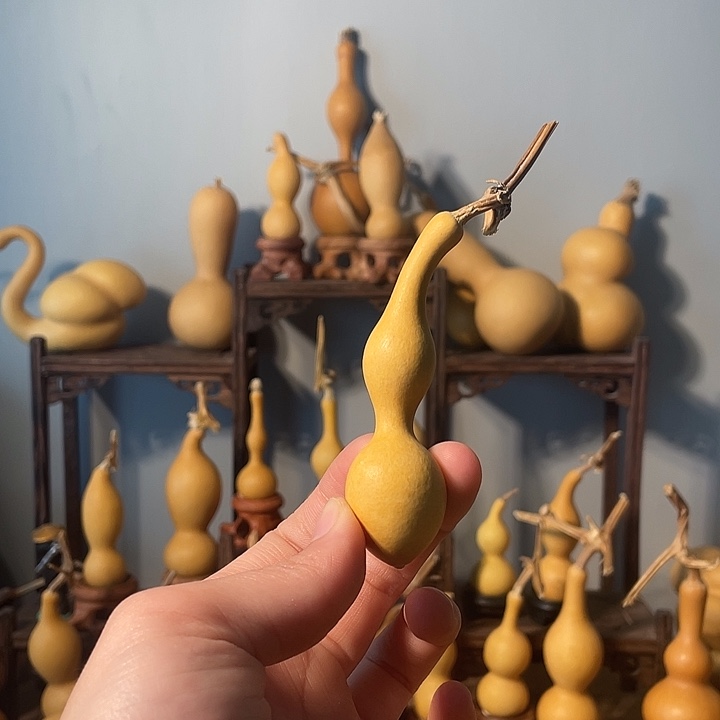 蚂蚁，，，，，，，，，，，，