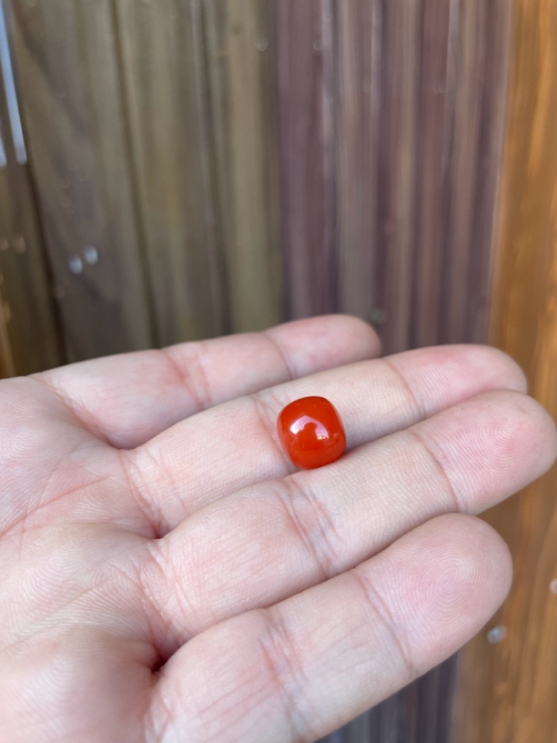 16号:南红联合辣椒红11老型