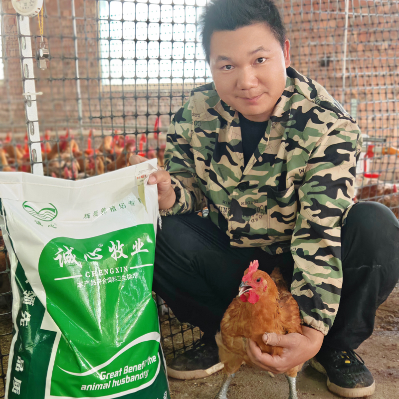 鸡鸭鹅小鸡开口料510（20斤）