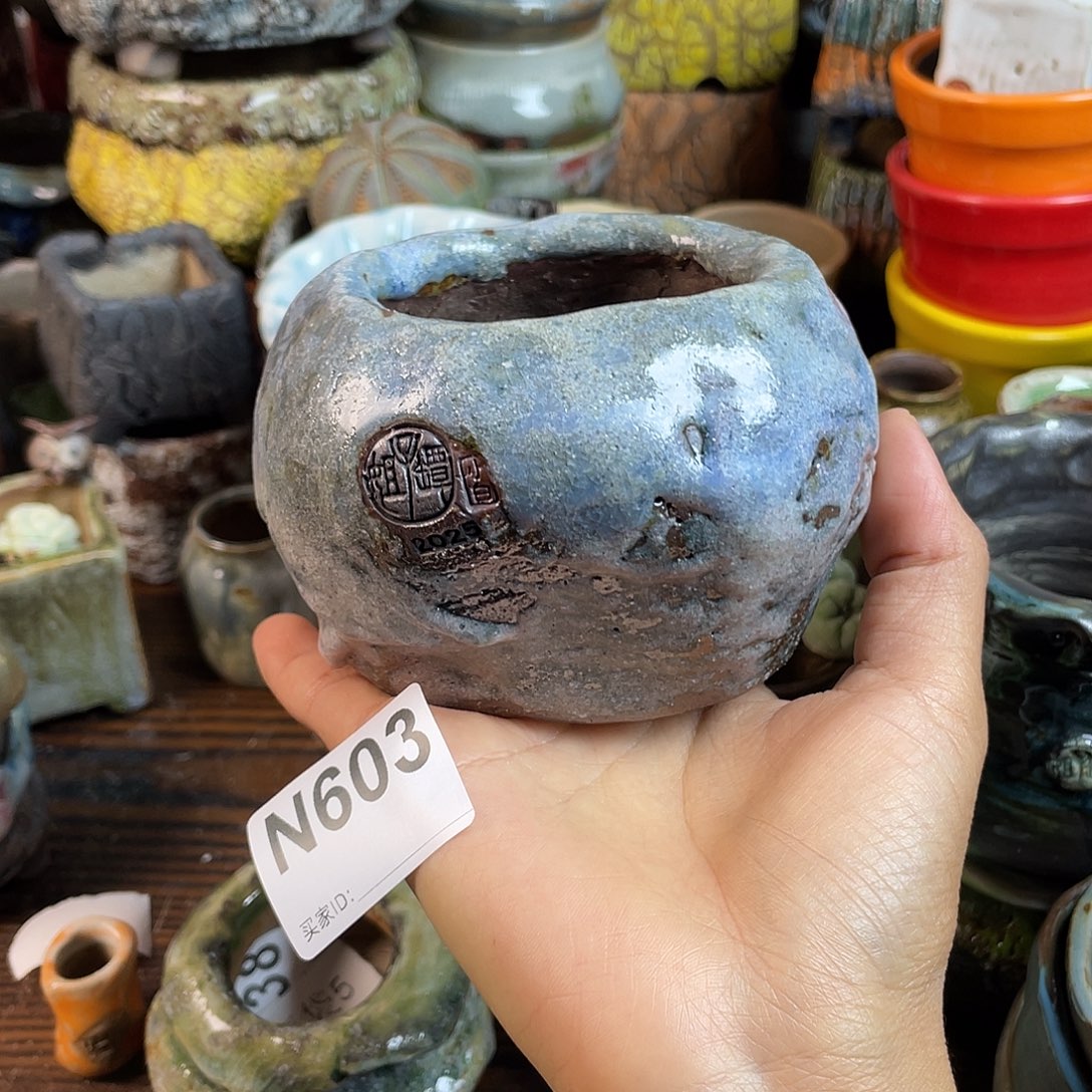 坛子姐花盆！双十二限时活动！默认微次 ！