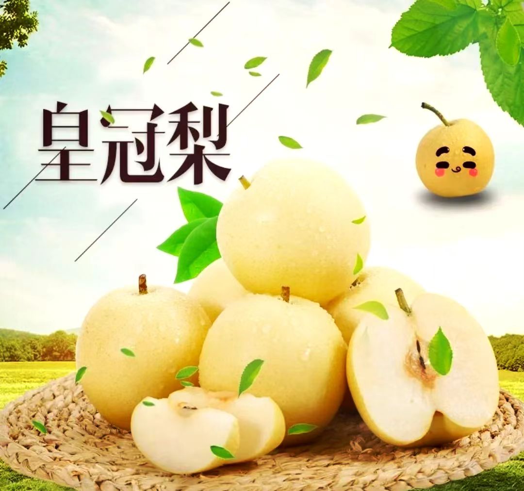 甘肃白银景泰皇冠梨（顺丰包邮）