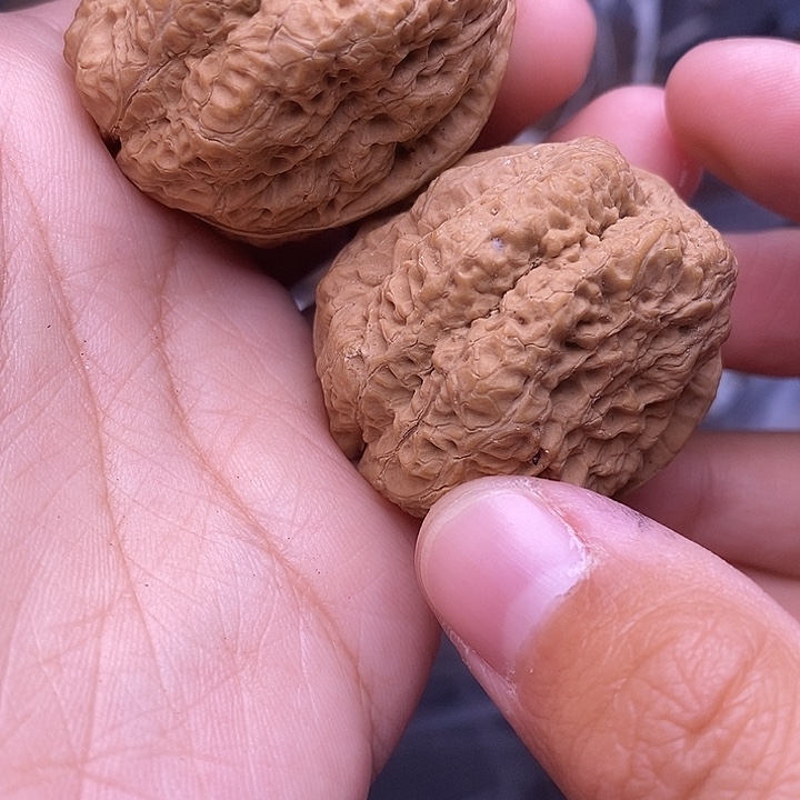 文玩核桃把件   32