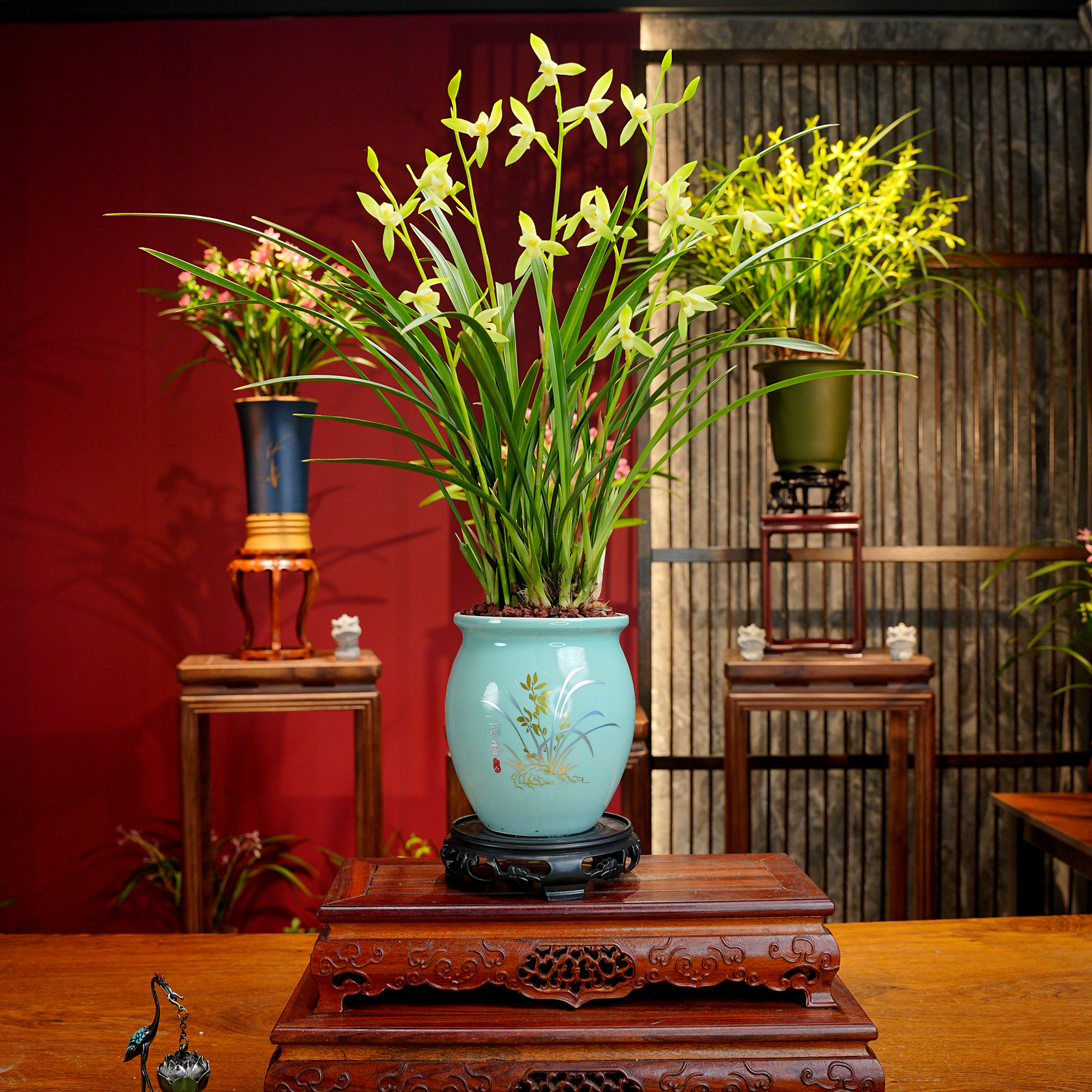 建兰铭品【绝代无尘】带花苞 浓香型兰花 景德镇大师 青花陶瓷罐