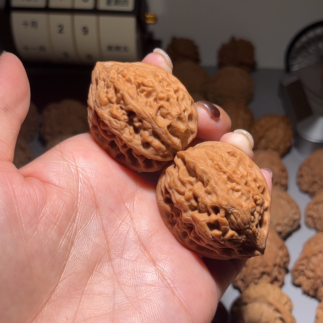 木质类大沽石38全品
