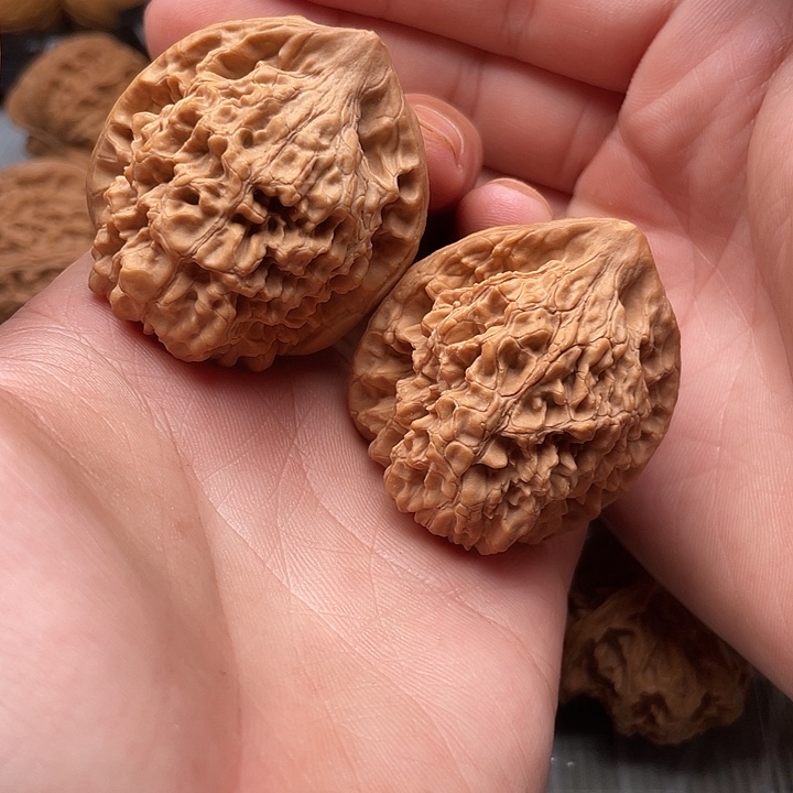 核桃手串/手链41官帽