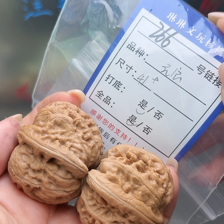 文玩核桃吊坠核桃树266