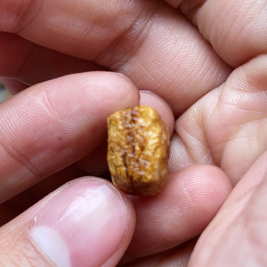 定制琥珀未镶嵌天然蜜蜡