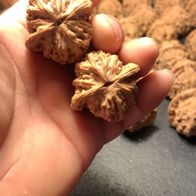 【闪购商品】昂****虹虎头