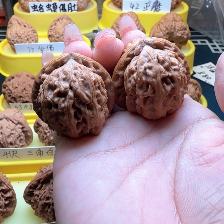 胡**叔汪汪核桃三角白弯弯核桃三角白