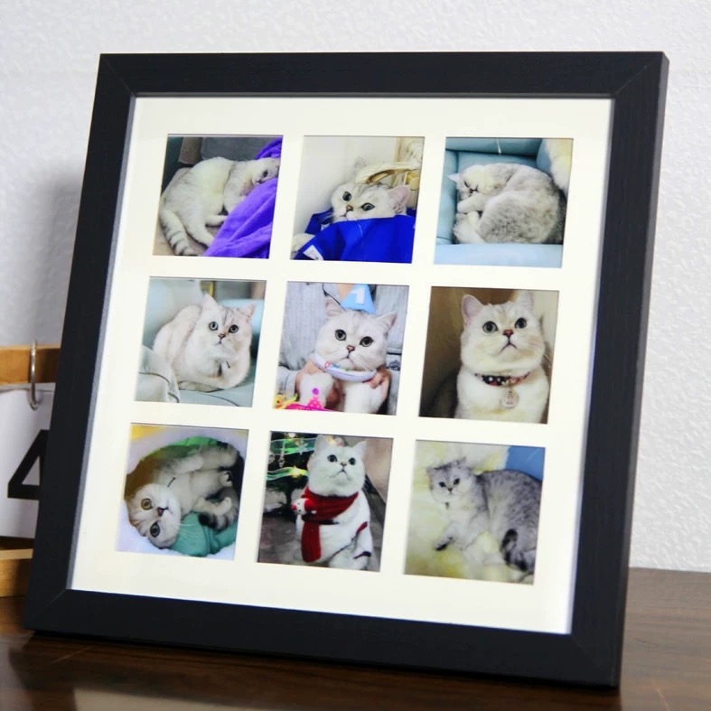 宠物纪念相册定金