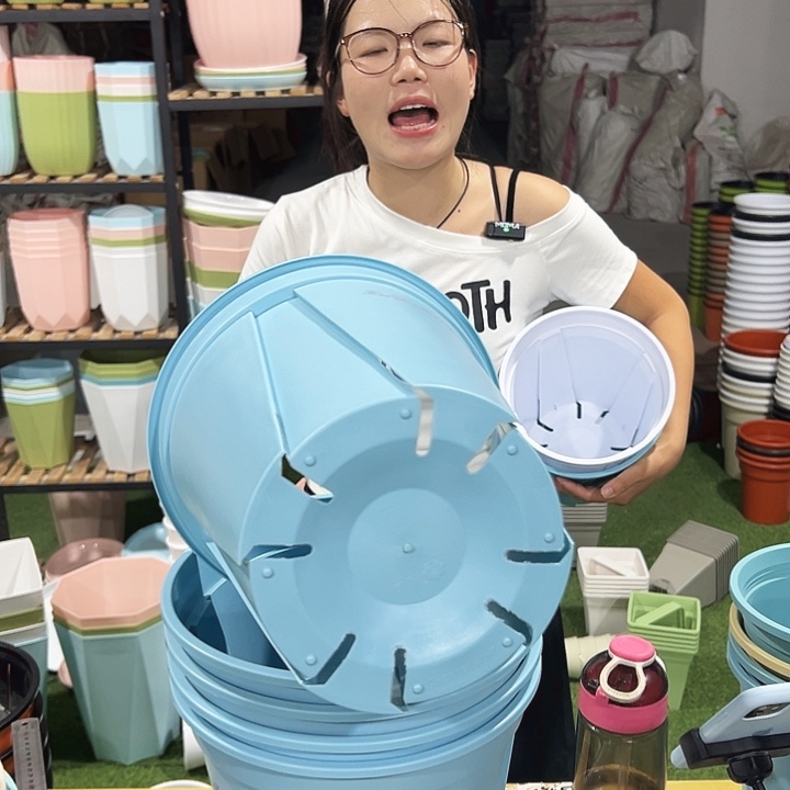 青山口24高24蓝色5只无托