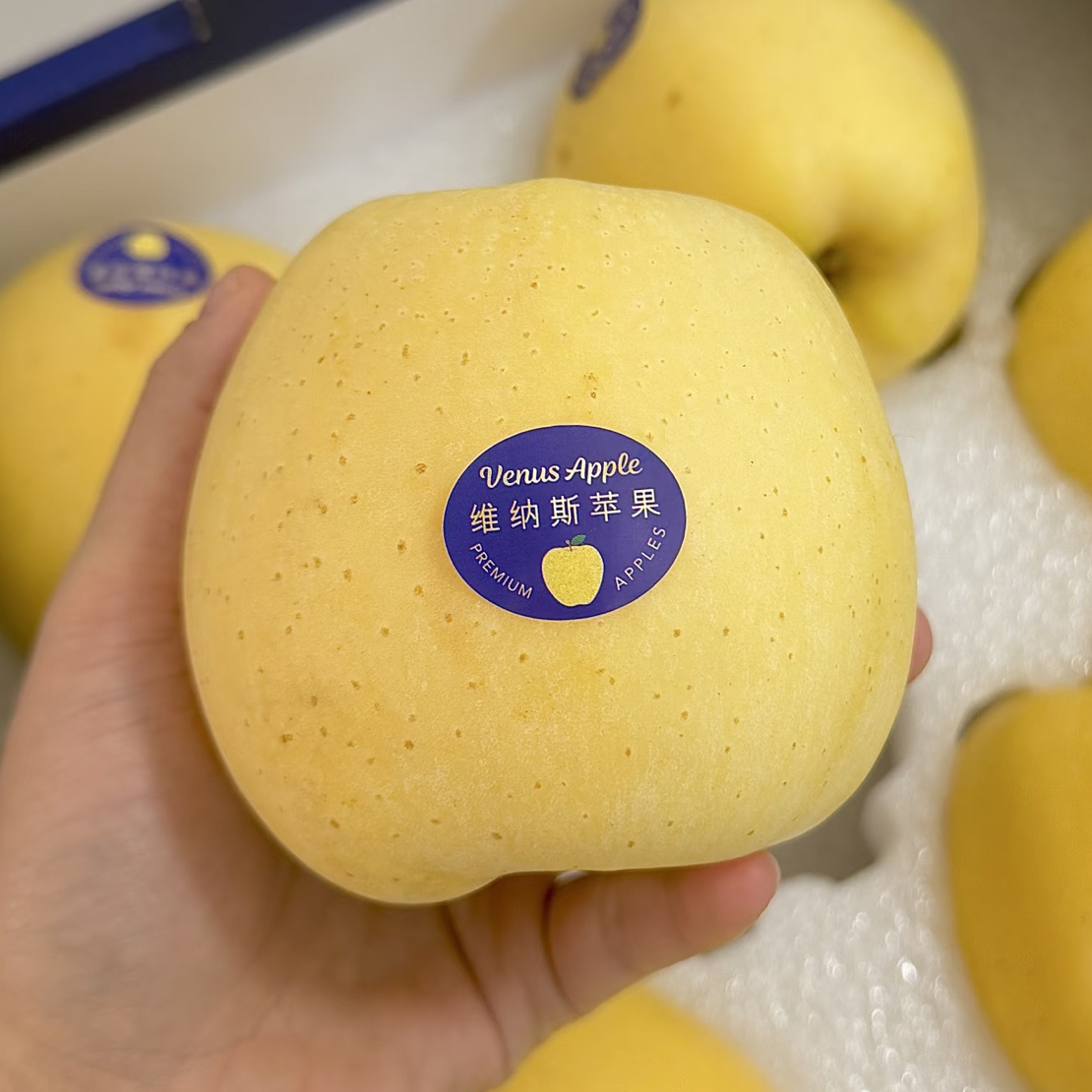 【精品水果】维纳斯苹果 一箱8个