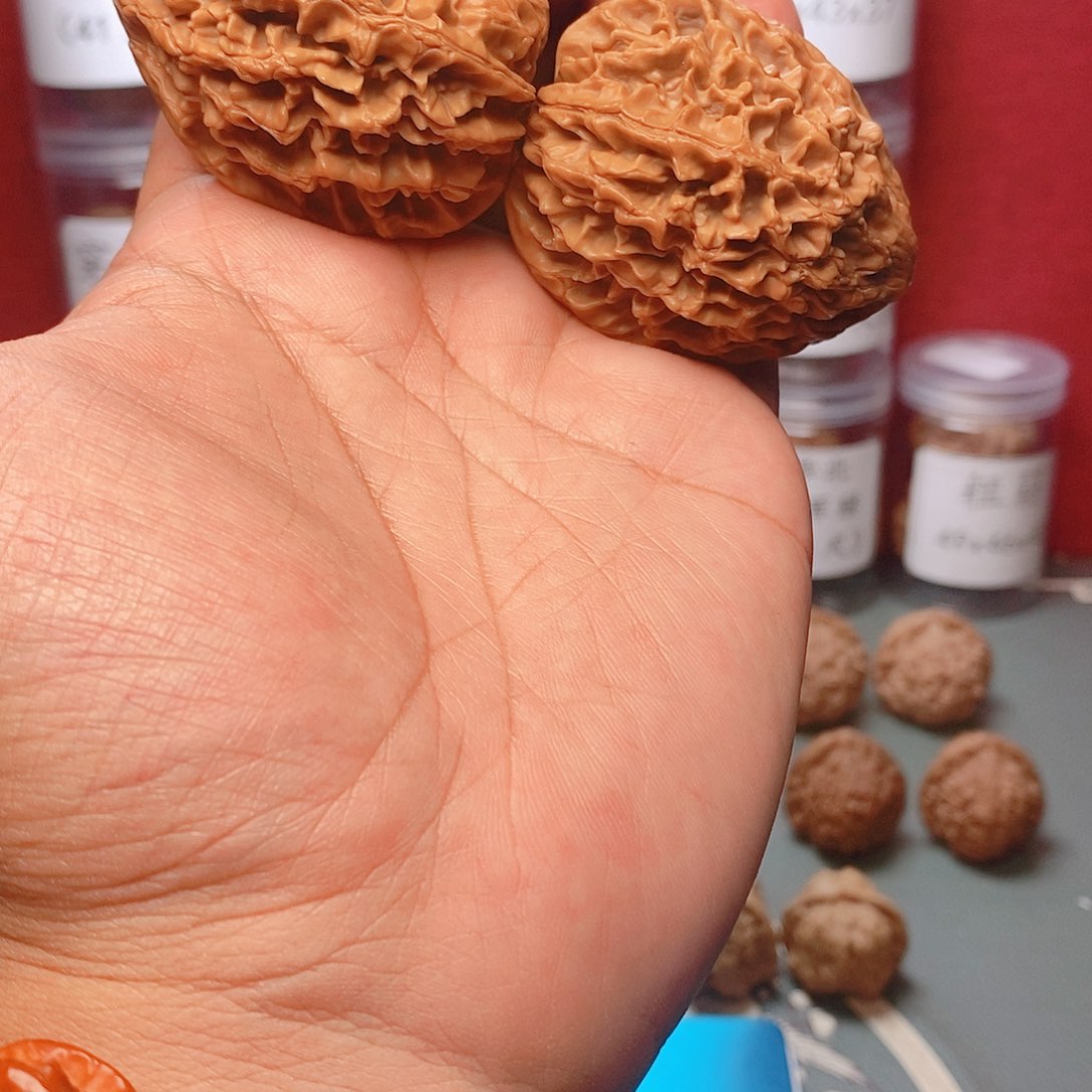 核桃把件S**。44尺寸招财鼠核桃