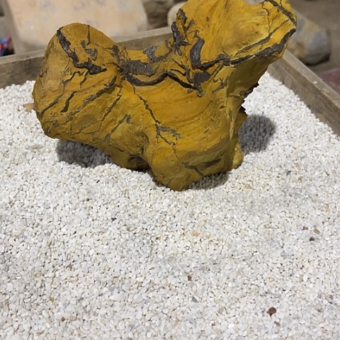 无花朵夏**装家居装修效果图