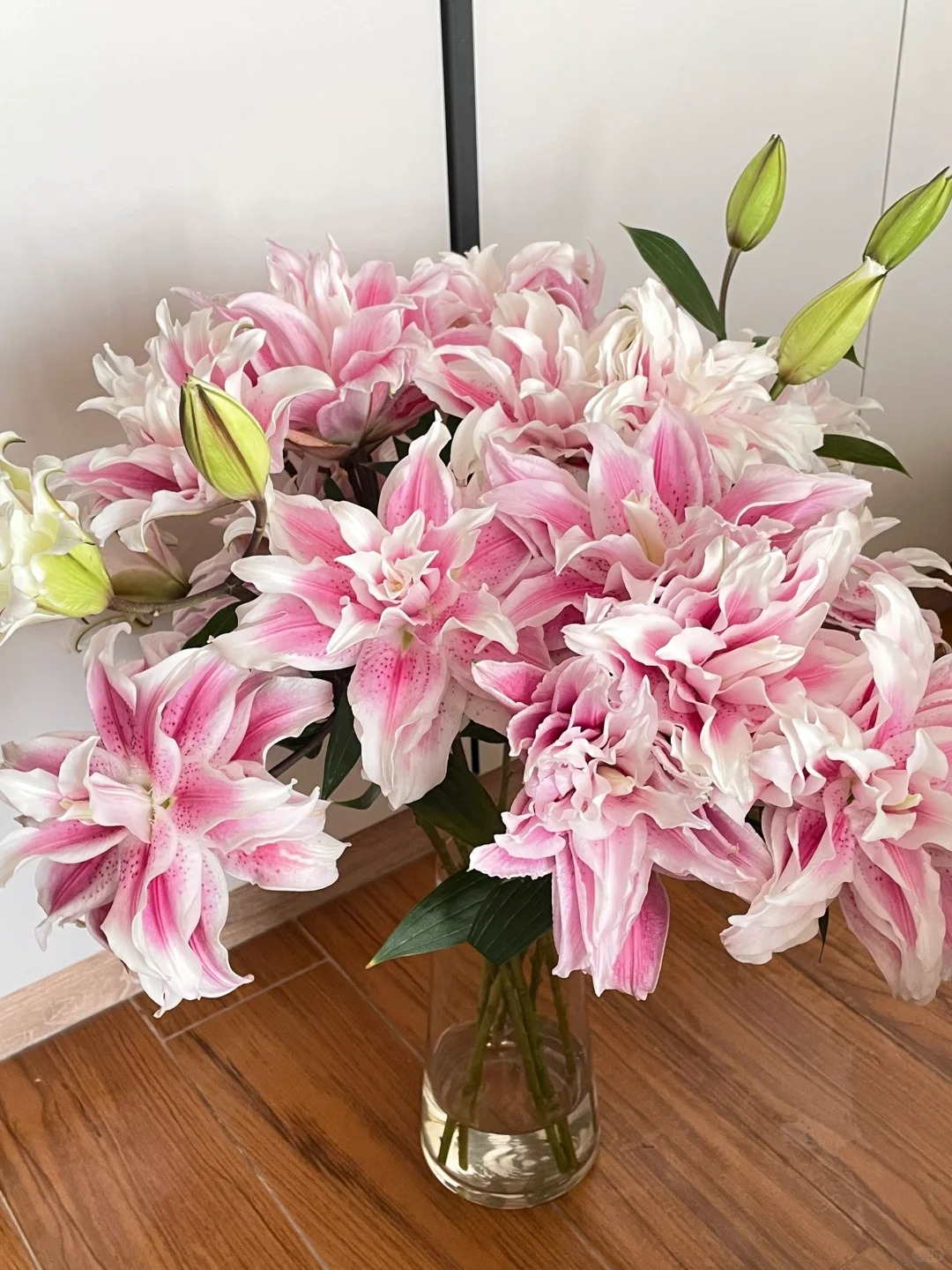 【港货百合伊莎贝拉】90箱1单顺丰冷链包邮 发货后不支持退款