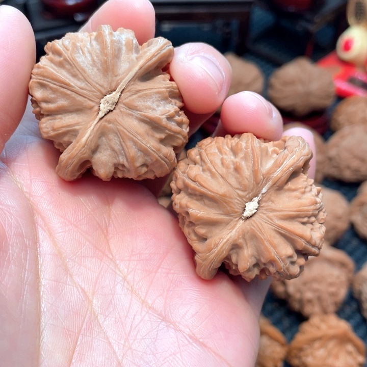 活**下原装白狮子4.1全品无修修。