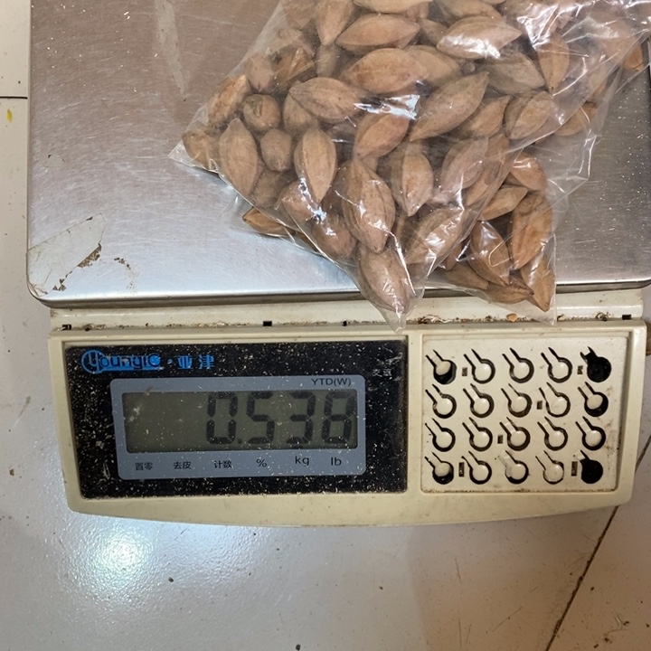 吊坠橄榄核人****！這是我，