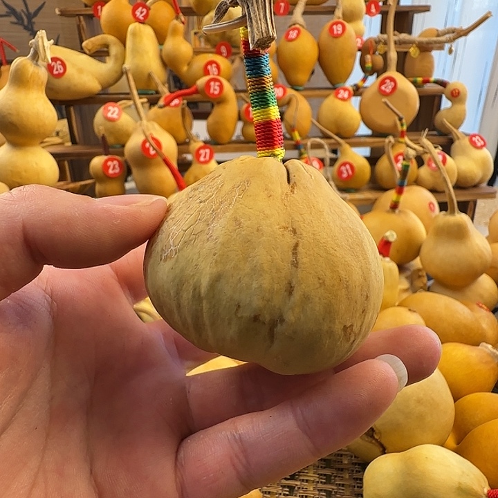 ****7莲花头龟甲包子葫芦
