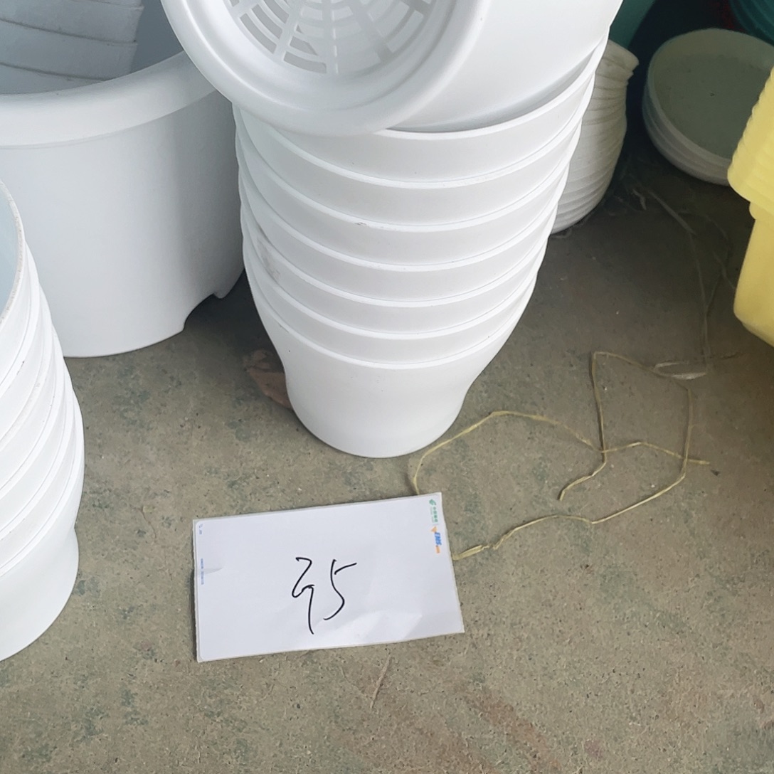 编号是35号的35号的