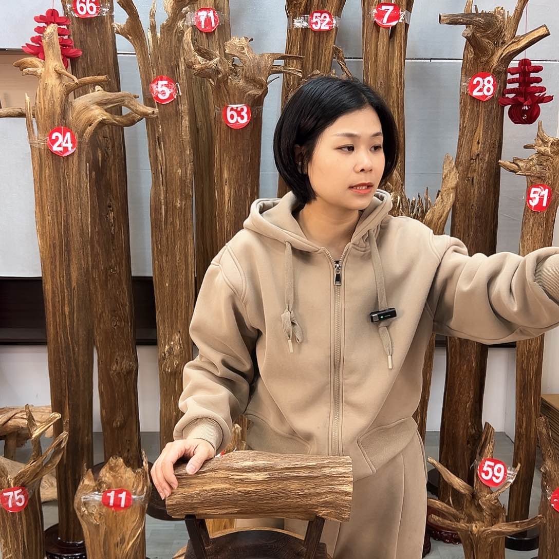 沉香摆件沉香摆件