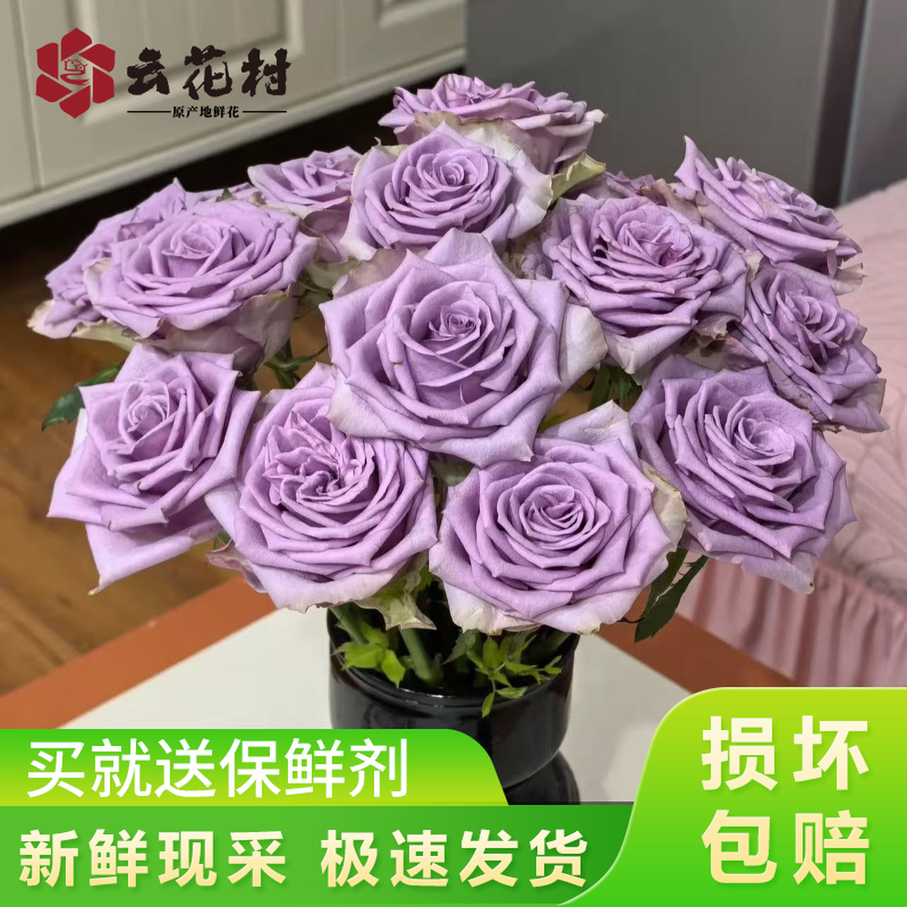 紫霞仙子玫瑰10支【全店任意满两件发顺丰京东】云南鲜花基地直发