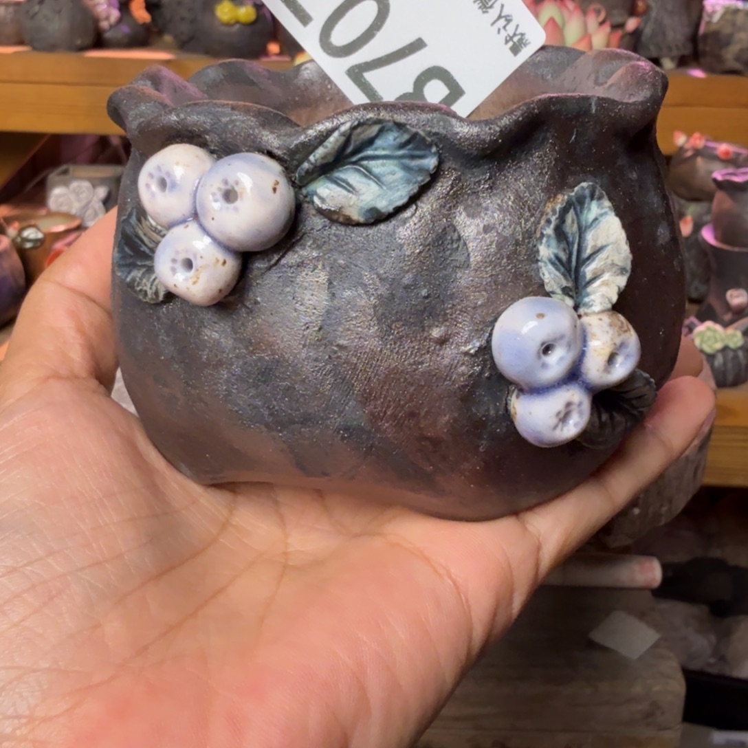 重庆小燕子欢迎大家707