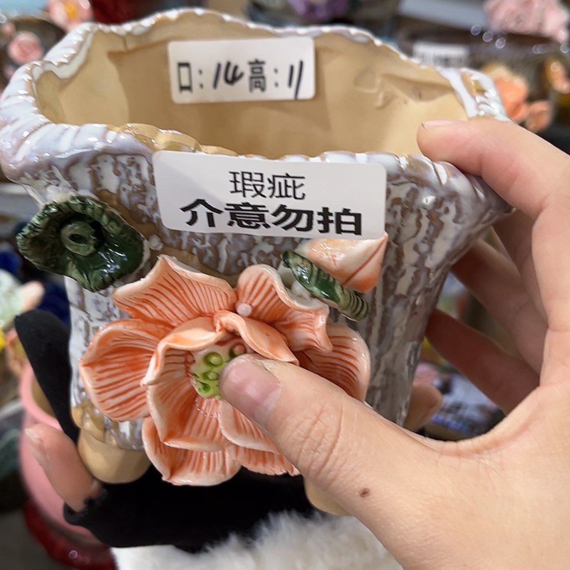 【闪购商品】红陶福利