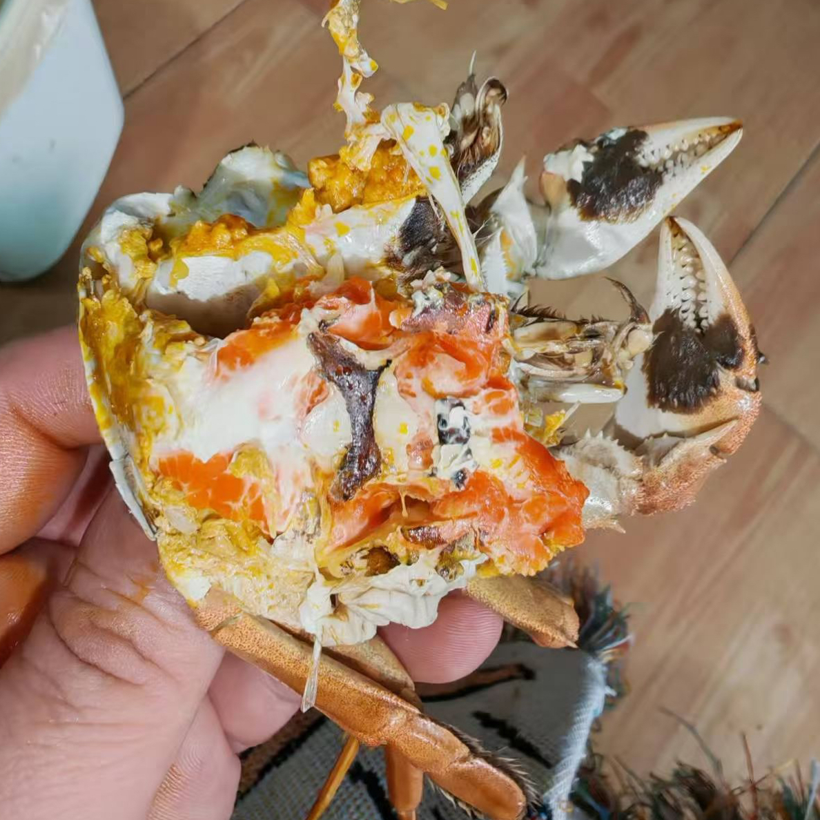 【活蟹】-兴义佳东-大闸蟹-母蟹（1两-20只）-