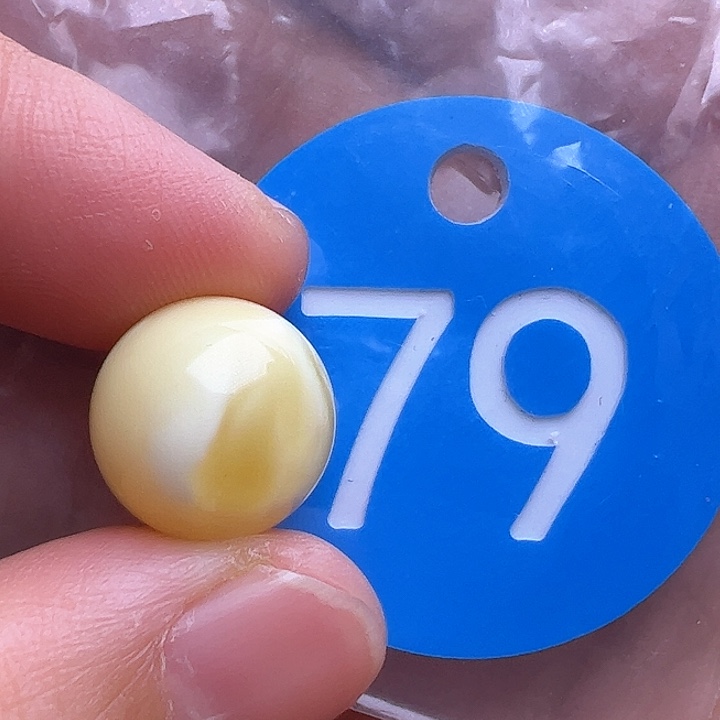 未镶嵌蜜蜡裸石13mm花粉