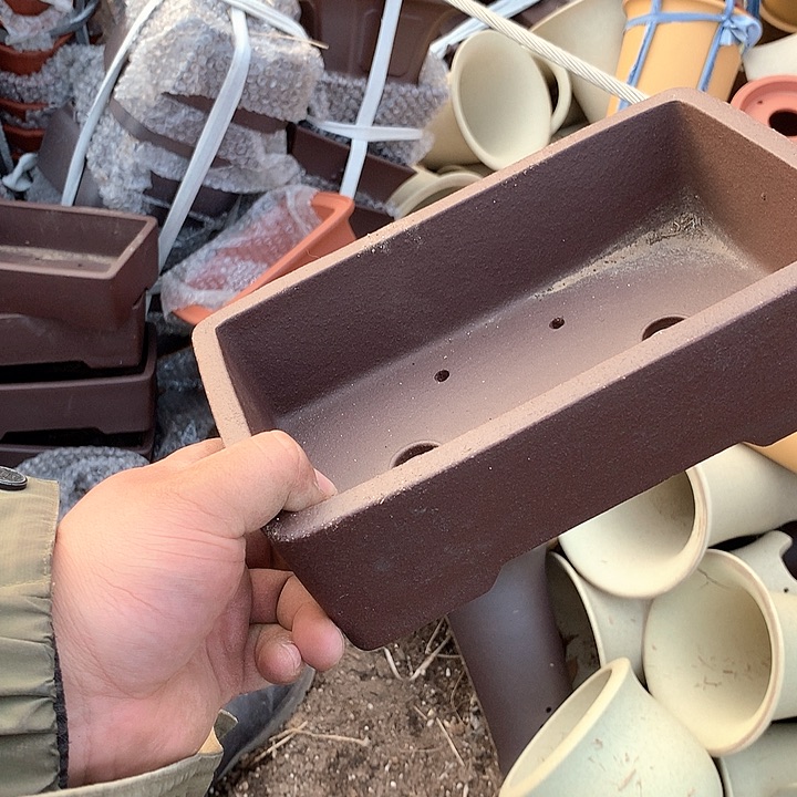 紫砂没有那么重要的人在我们