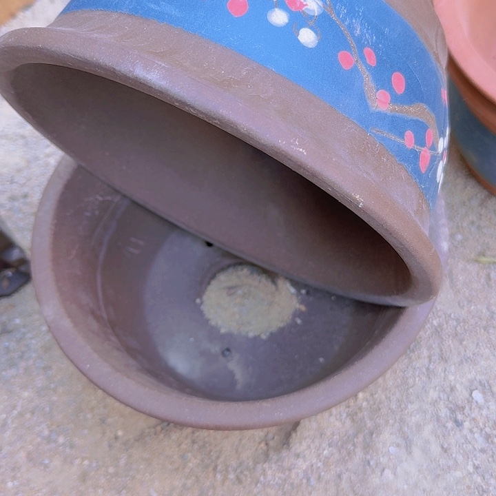 紫砂蓝色富贵点彩20-20花盆