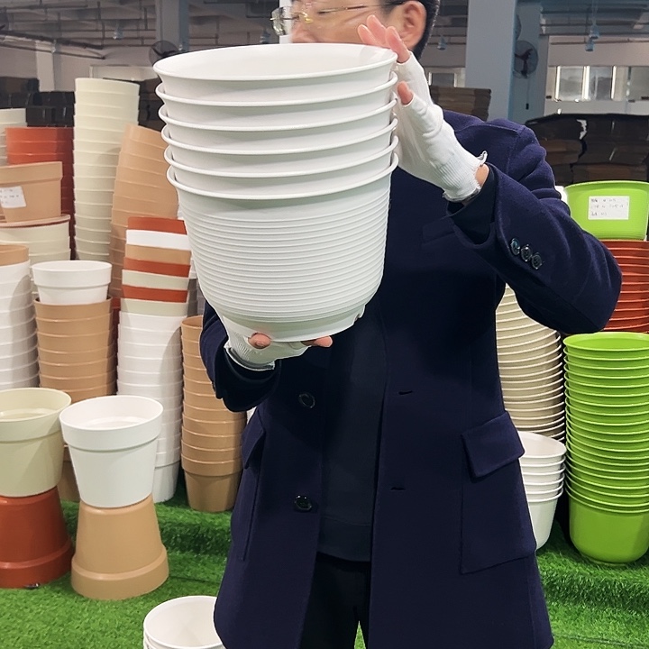 正品矮陶口24高17白色6只无托