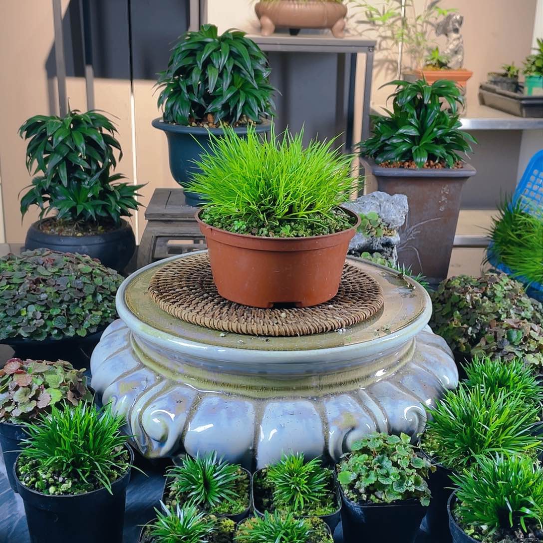 【闪购商品】完全开放