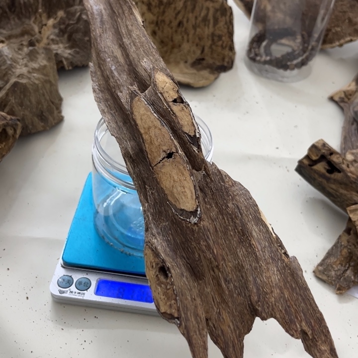 沉香沉香木制品海南沉香虫漏块料81克+