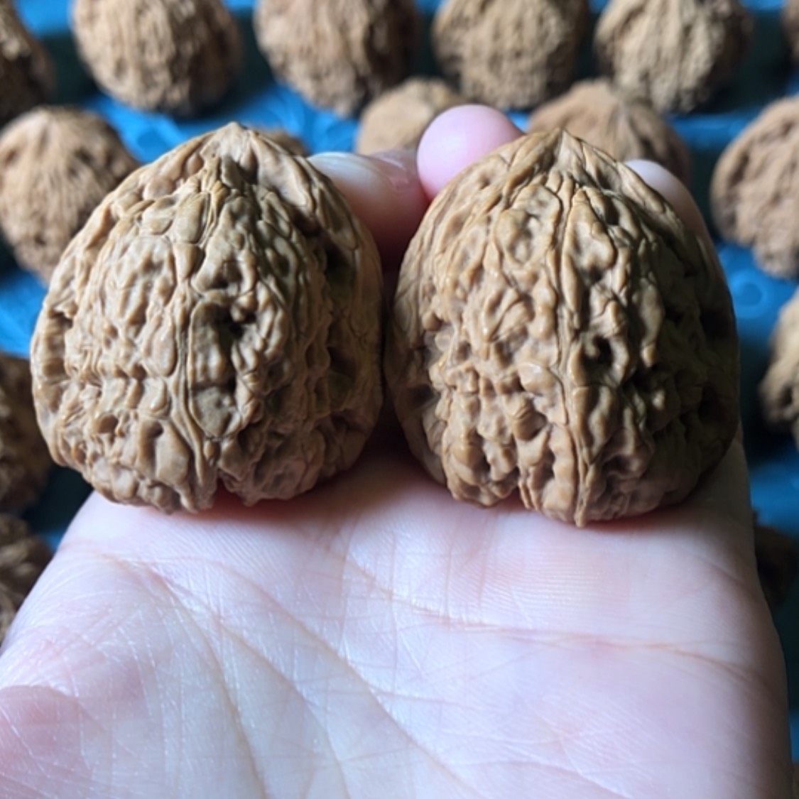 【闪购商品】文玩核桃把件一代将