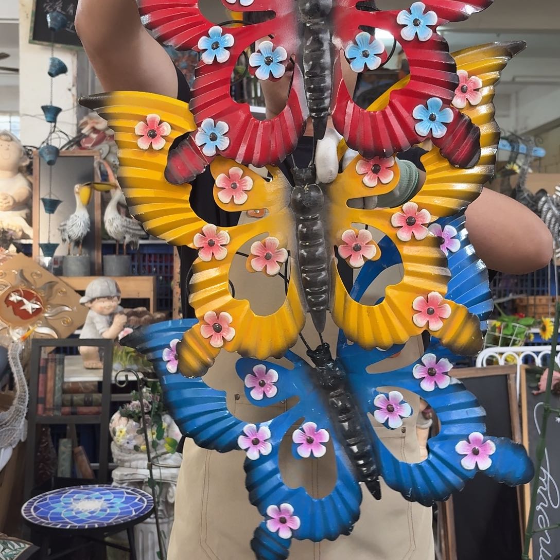 核桃木/黑胡桃（胡桃木）