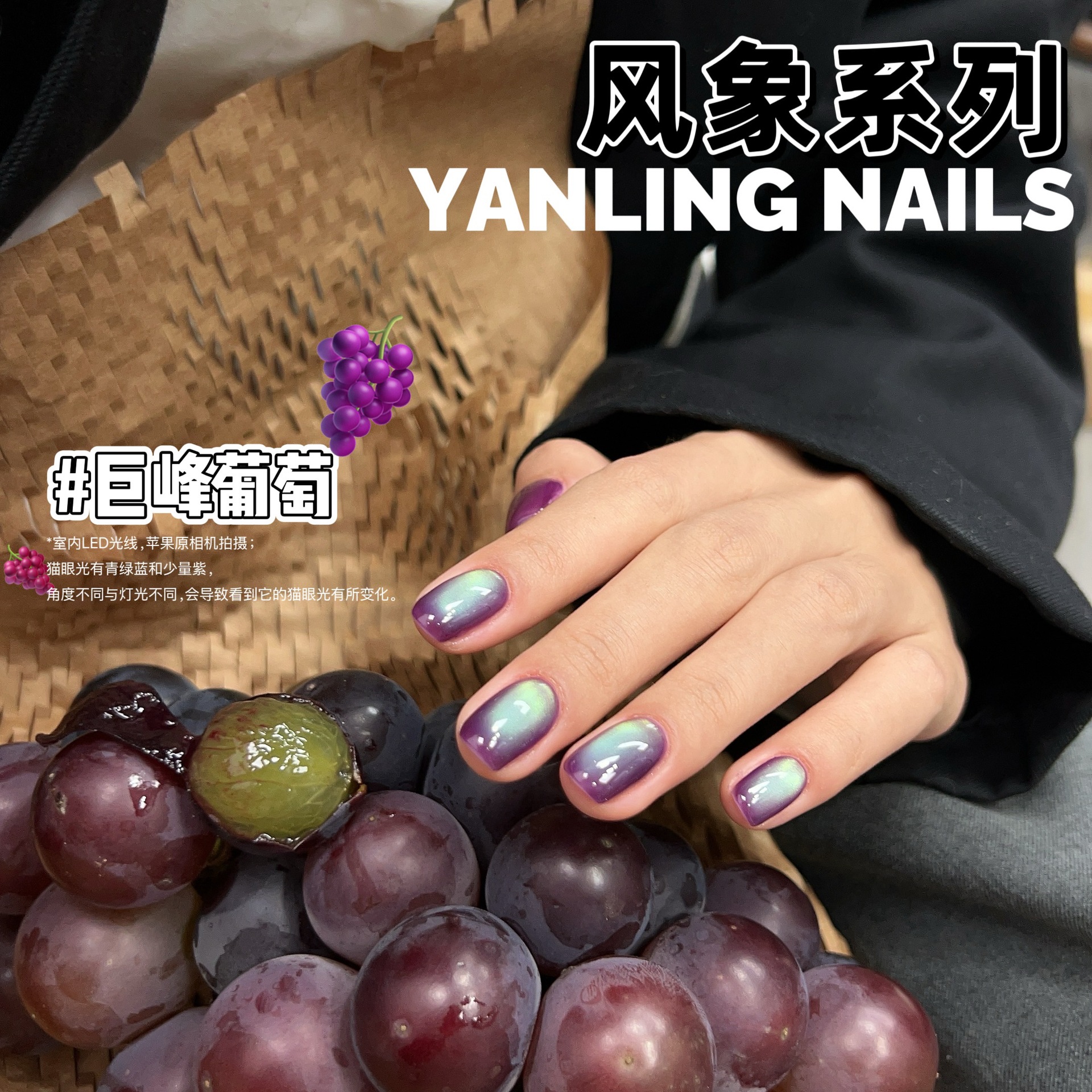 燕翎风象系列甲油胶火龙果猫眼巨峰葡萄紫色猫眼 火烧云猫眼合集
