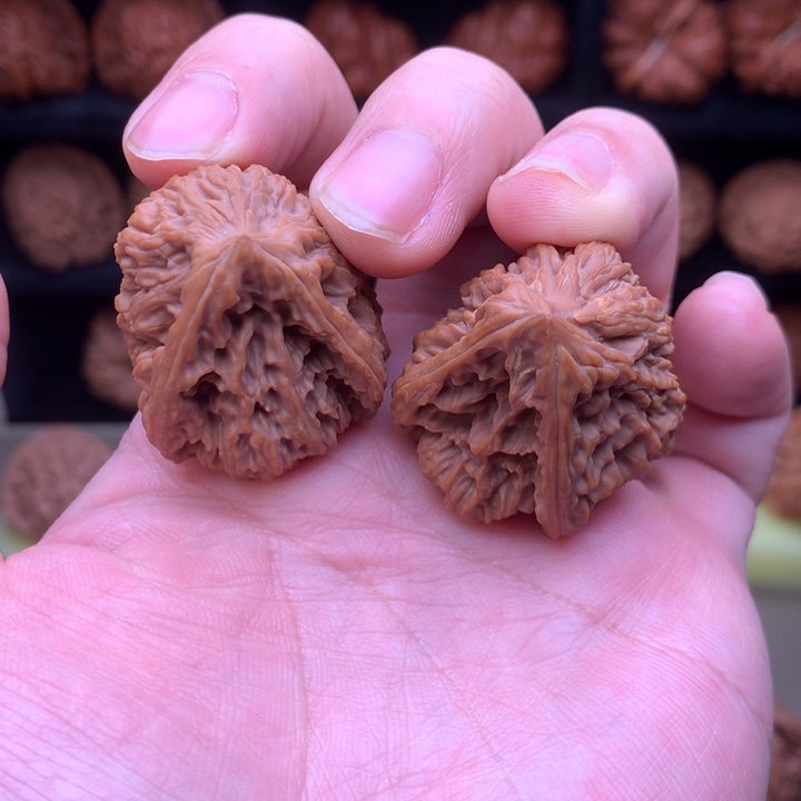 文玩核桃吊坠涿鹿南疆异形