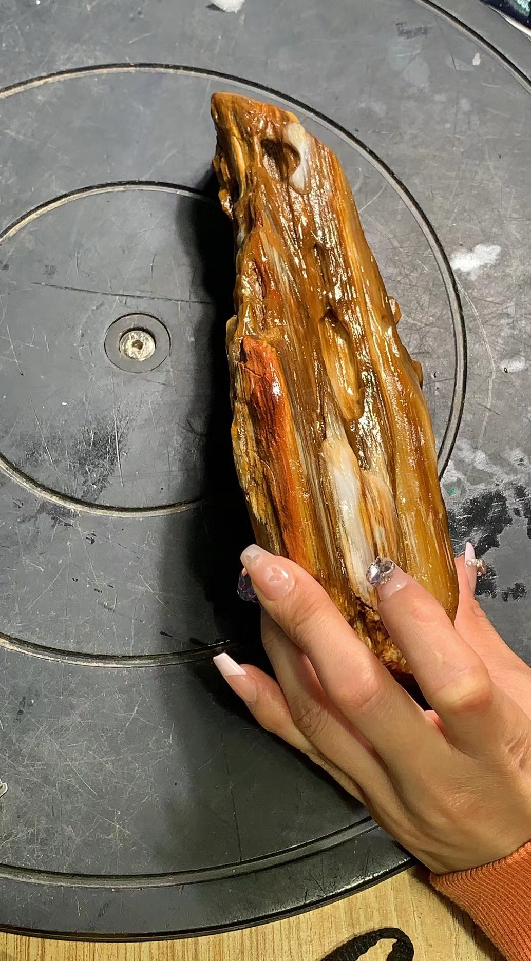 精美树化玉摆件2024120