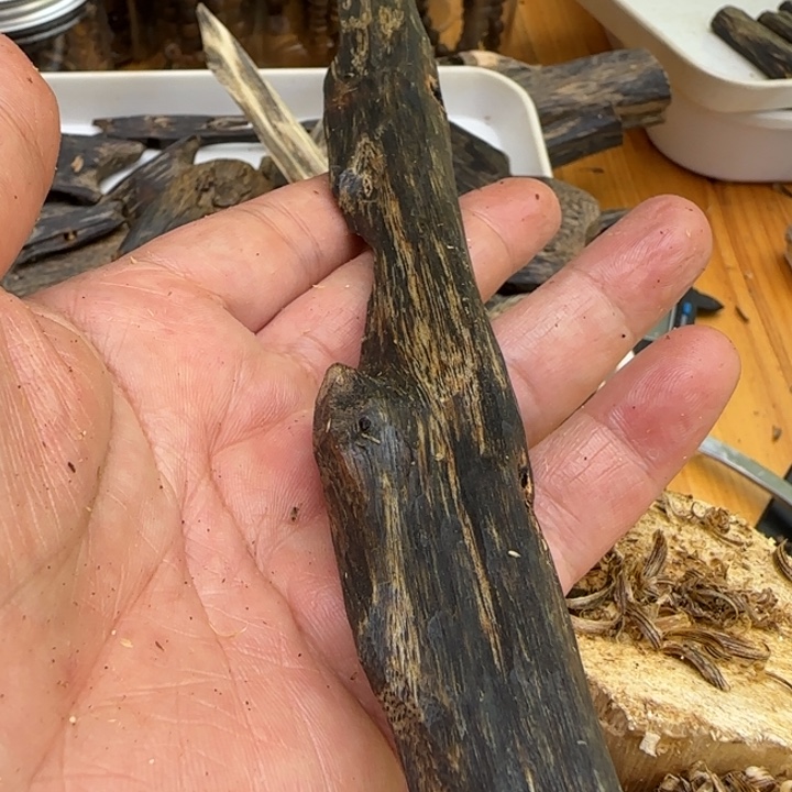 大***象沉香沉香碎屑棋楠张勺子树枝35克