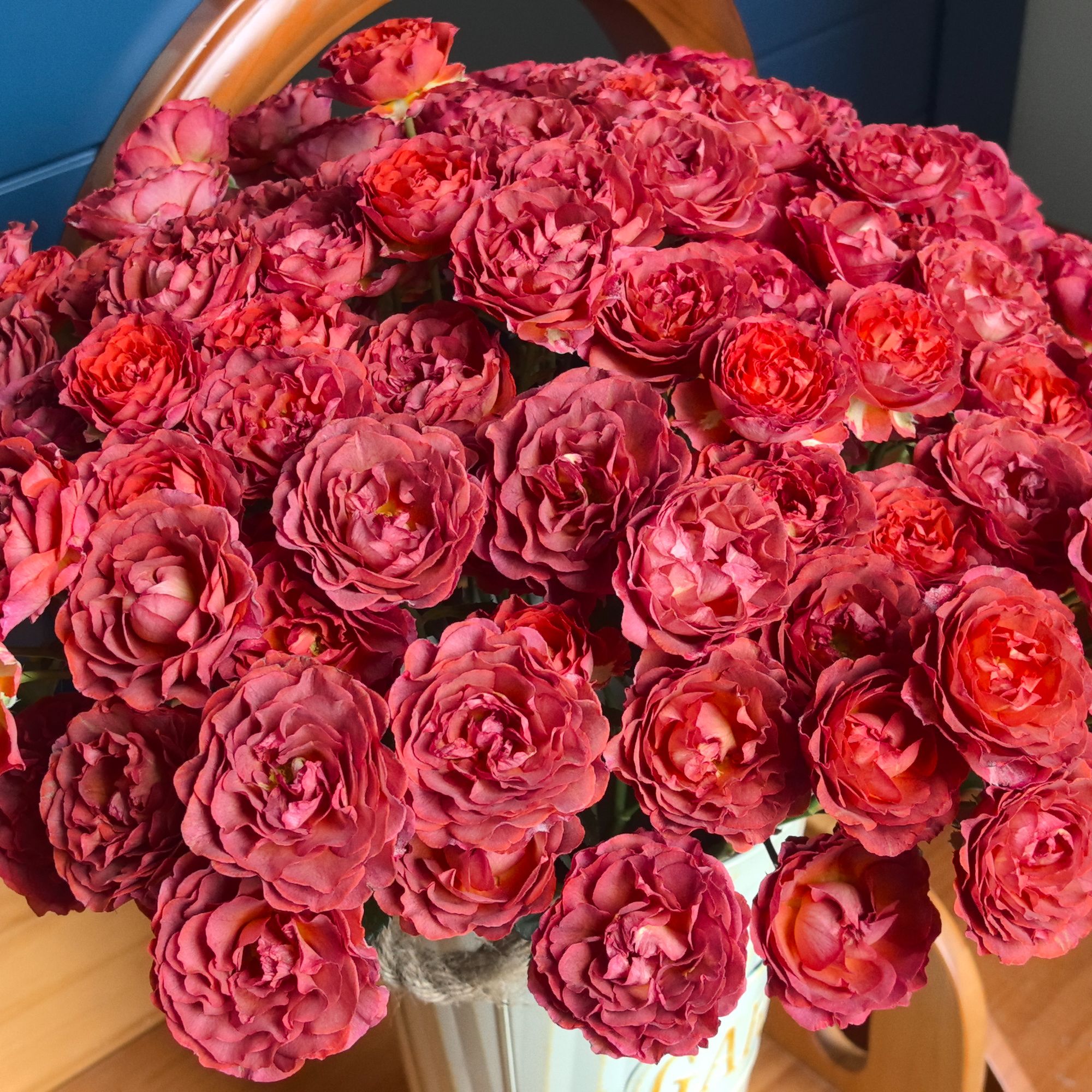 七叶花坊# 【缤纷烬上花】高品质鲜花 顺丰直发玫瑰花修剪