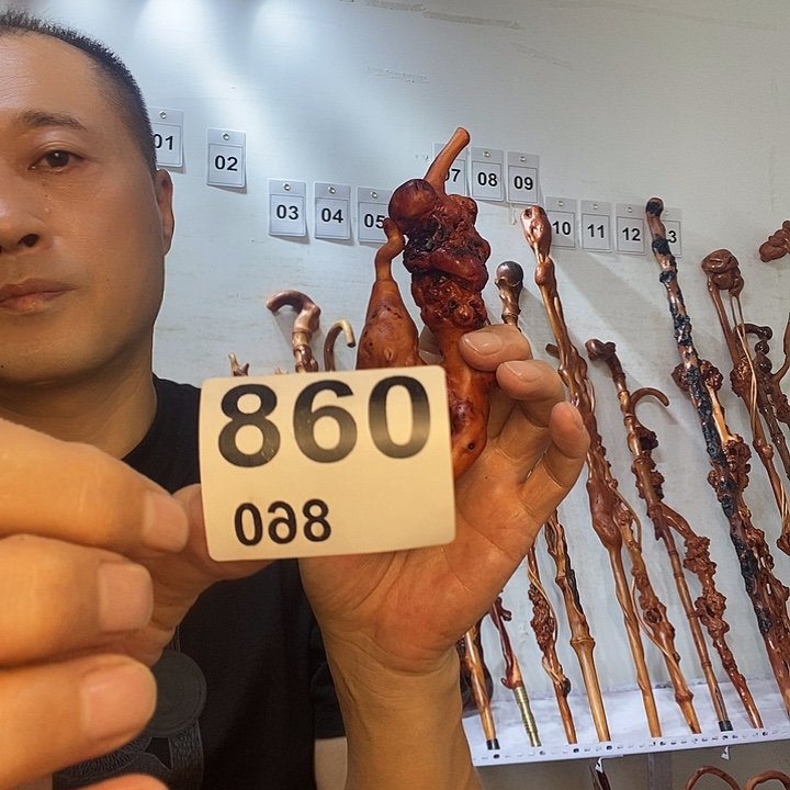 独***霸黑果木云南黑果木树榴摆件