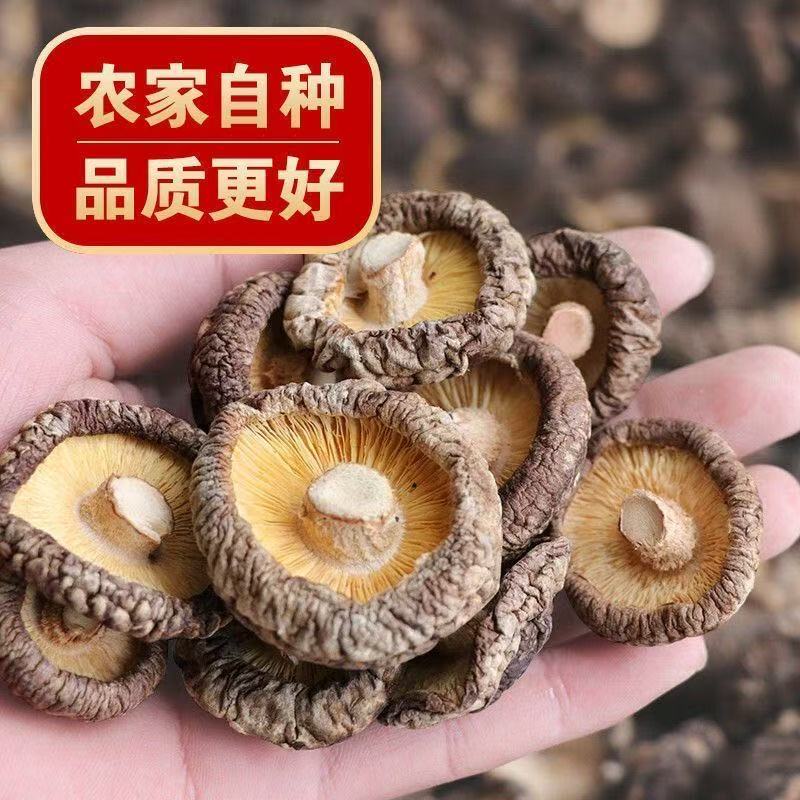 香菇干货新货无根无熏硫可煲汤炖煮炒菜的菌菇食用菌干香菇