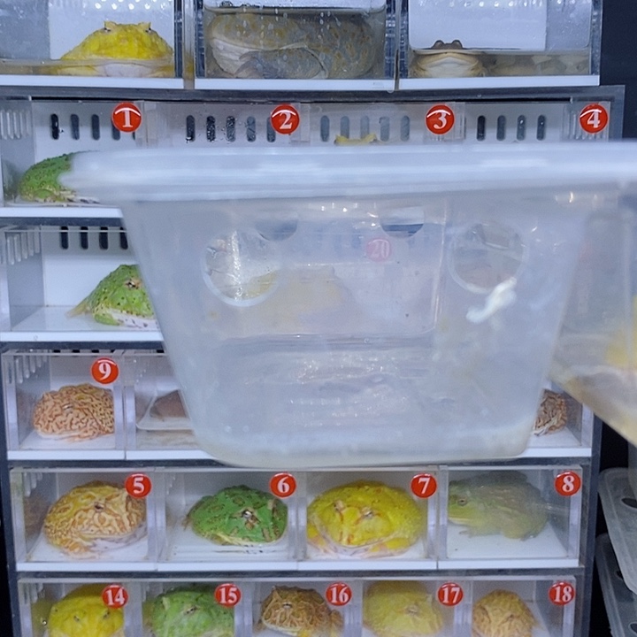 特价秒杀现货特价